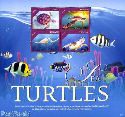 Sea Turtles 4v m/s