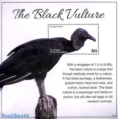Black Vulture s/s