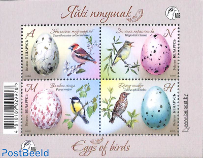 Bird eggs s/s