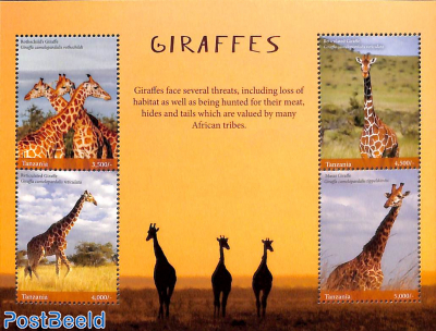 Giraffes 4v m/s