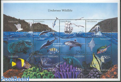 Undersea wildlife 12v m/s