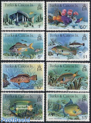 Fish 8v (with year 1981)