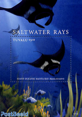 Saltwater Rays s/s