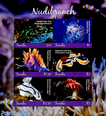 Nudibranch 6v m/s