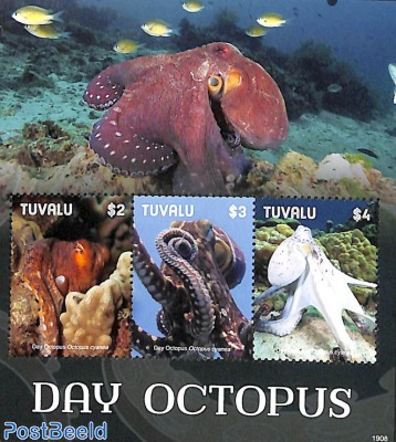 Day Octopus 3v m/s