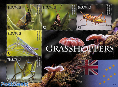 Grasshoppers 5v m/s