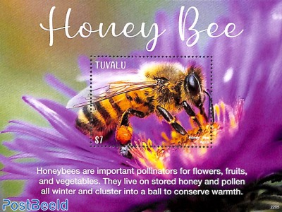 Honey Bee s/s