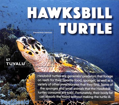 Hawksbill Turtle s/s