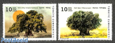 Monumental trees 2v