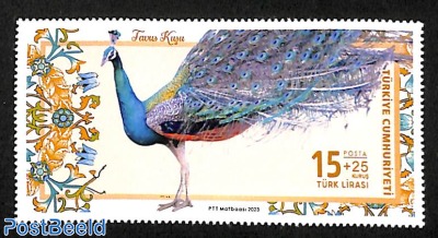 Peacock 1v