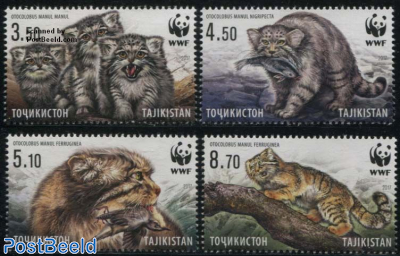 WWF, Manul 4v