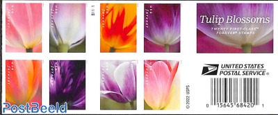 Tulip Blossoms 2x10v s-a in double sided booklet