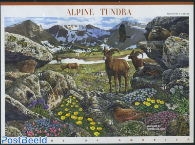 Alpine Tundra 10v m/s s-a