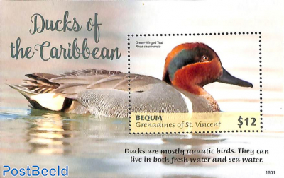 Bequia, Ducks of the Caribbean s/s