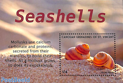 Canouan, seashells s/s