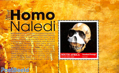 Homo Naledi s/s