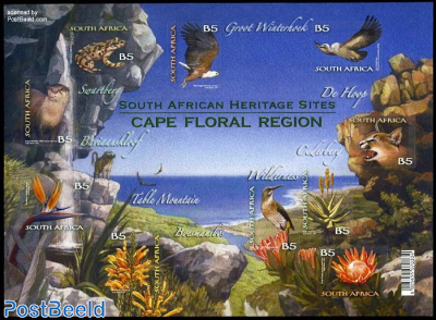 Cape Floral region 10v m/s