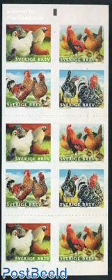 Chicken foil booklet