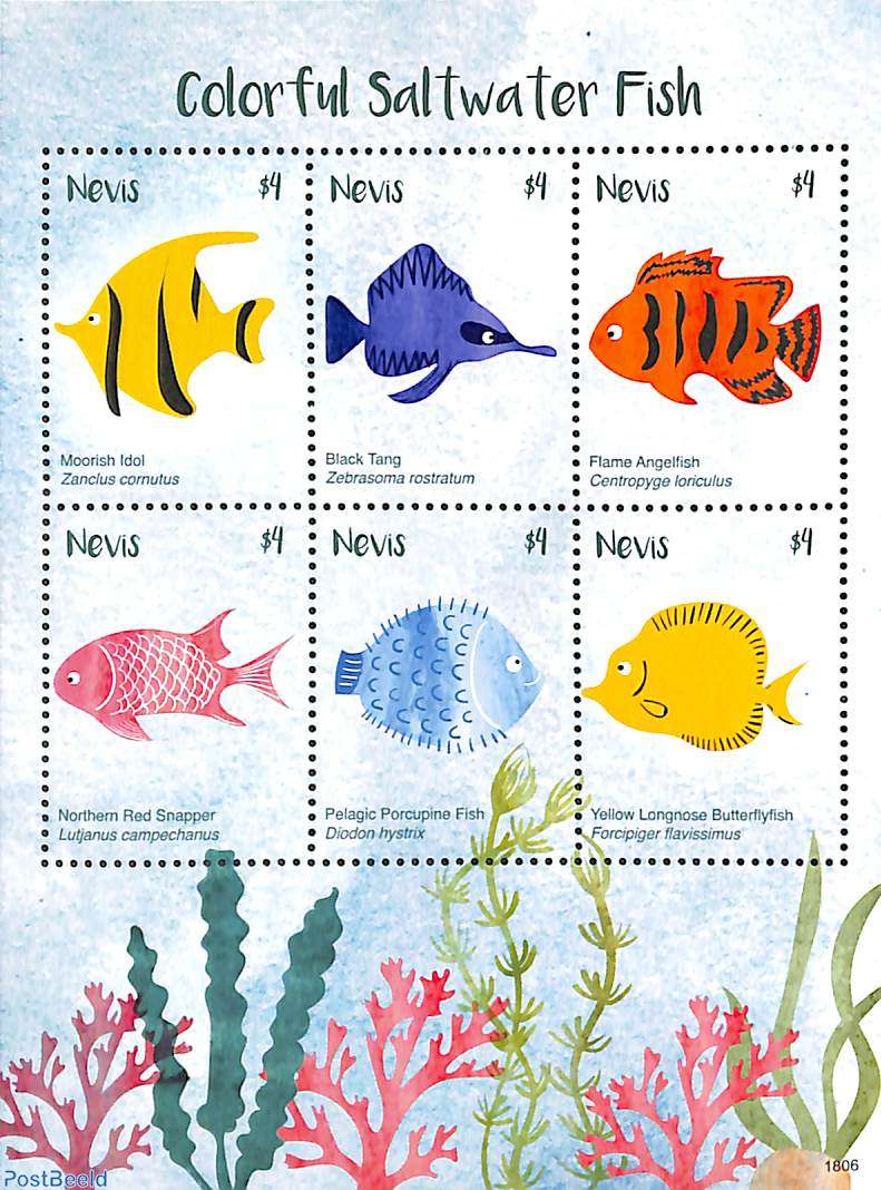 Saltwater fish best sale