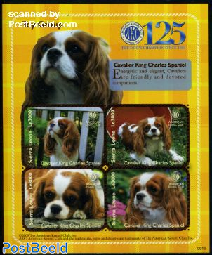 Leone outlet pet supply