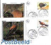 Birds 2v, joint issue New Zealand